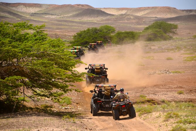 2h SSV Buggy Desert Adventure - 1000cc or 500cc - Kite Beach and the changing face of Sal