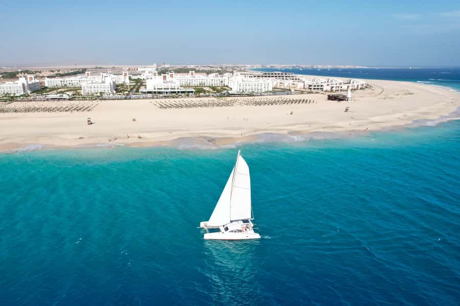 3-hour Catamaran Adventure on the waters of Sal Island - Wildlife: Wonderful When It Happens, Never Promised