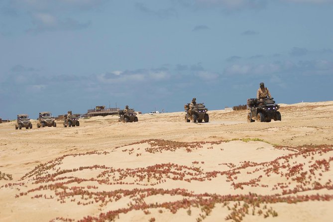 4h ATV 500cc 4x4 Quad Island Adventure - Palmeira: fishing boats and Cape Verdean character