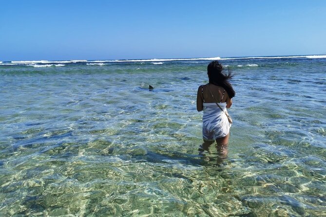 All inclusive full-Day Tour in Sal Island (Lunch and all fees included) - Terra Boa and the desert mirage