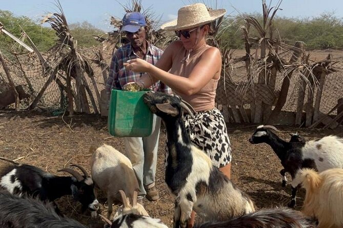 ALL-INCLUSSIVE Cabrer Journey-Live a day like a Cabrer-BoaVista - Homemade ponche and time with the family