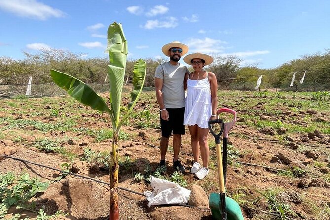 ALL-INCLUSSIVE Cabrer Journey-Live a day like a Cabrer-BoaVista - Farm life, goats, and the work behind breakfast