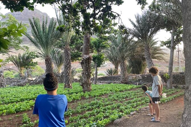 Beaches, Villages and Monte Verde, São Vicente Excludes City - Guides, Group Size, and What the Day Feels Like
