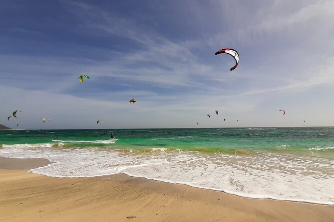BEST VALUE small group island tour w/SHARK experience & salt lake - Terra Boa’s desert mirage and small community