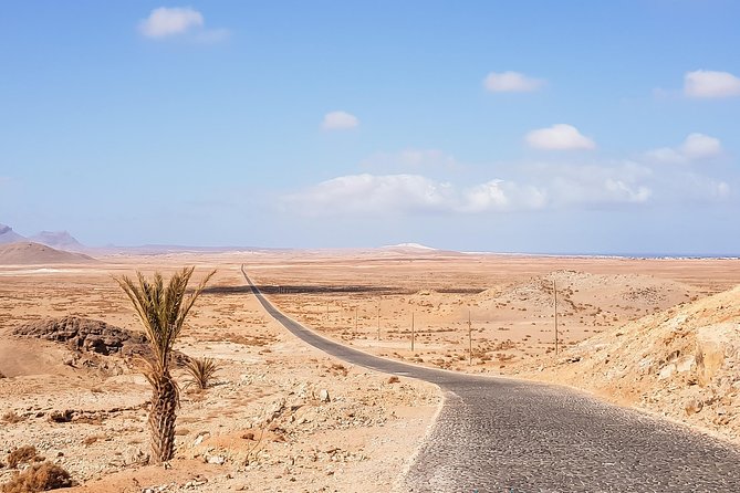 Big Boa Vista Exclusive Tour - Morro d’Areia and sandboarding