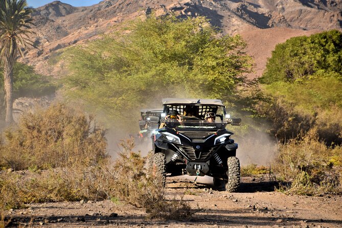 Boa Vista 2h Buggy Death Valley Adventure 1000cc - Rabil, a small town with a local feel