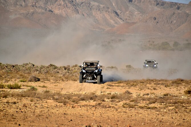 Boa Vista 2h Buggy Death Valley Adventure 1000cc - The oasis stop and what to expect