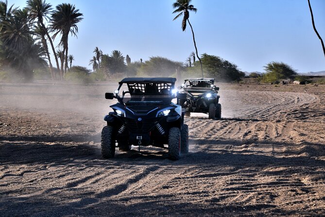 Boa Vista 2h Buggy Death Valley Adventure 1000cc - Fonte Vicente and the baobab tree