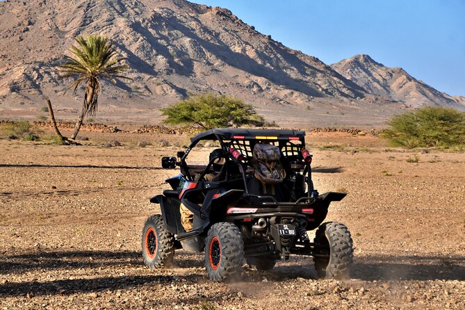 Boa Vista 2h Buggy Death Valley Adventure 1000cc - Starting near Sal Rei with No Limits Adventure