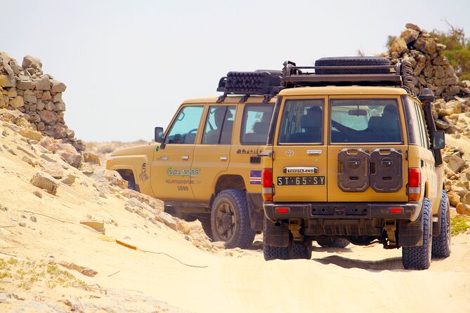 Boa Vista: 4h North Jeep Expedition Off-Road - Price, practical fit, and value