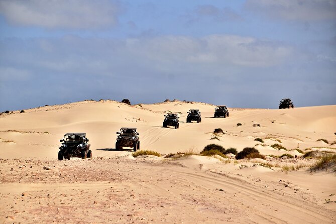 Boa Vista 4h South Buggy Adventure 1000cc - Why this buggy trip works so well