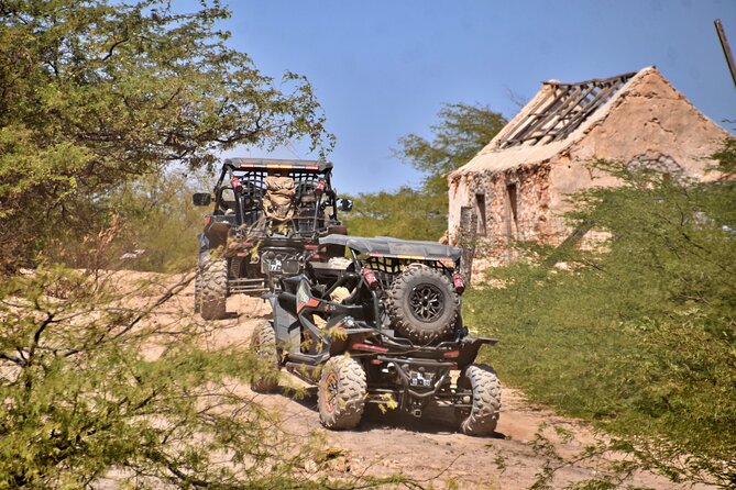 Boa Vista 4h South Buggy Adventure 1000cc - Praia de Chaves and the old pottery chimney