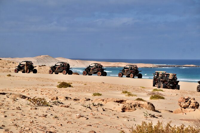 Boa Vista 4h South Buggy Adventure 1000cc - Morro de Areia and the golden coastal run