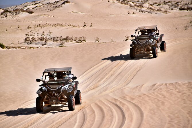 Boa Vista 4h South Buggy Adventure 1000cc - Santa Monica Beach, Boa Vista’s biggest shore