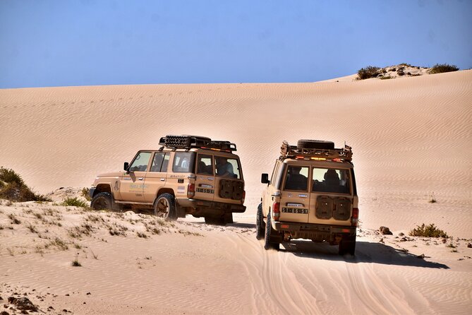 Boa Vista: 4h South Jeep Expedition Off-Road - What this four-hour south tour is really like