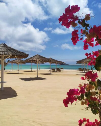 Beautiful Beaches, Turtles & Djeu Island Snorkel