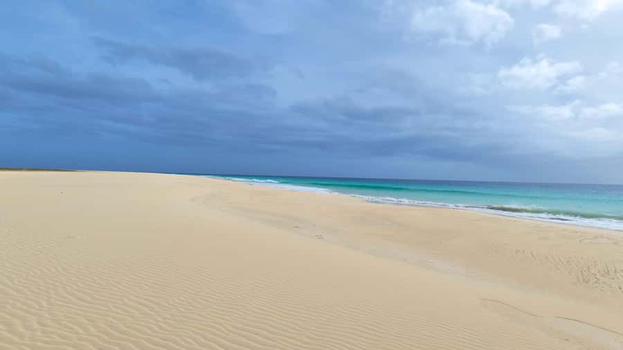 Boa Vista: Beautiful Beaches, Turtles & Djeu Island Snorkel - Shark Bay and the lemon shark nursery
