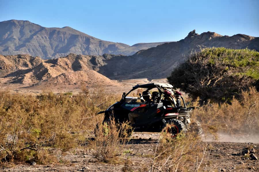 Boa Vista Buggy Tour: Death Valley Adventure (2-Hour) - Why this short Boa Vista adventure works
