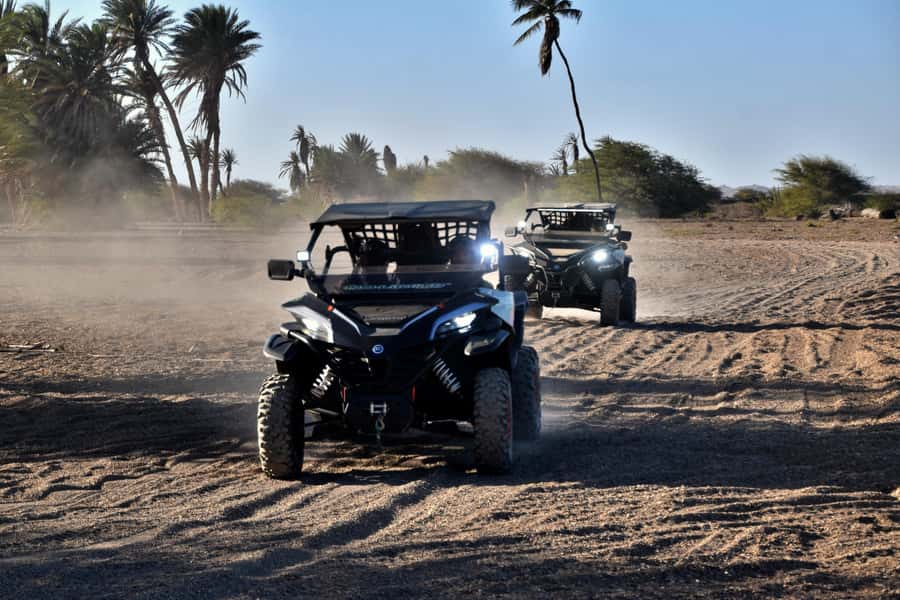 Boa Vista Buggy Tour: Death Valley Adventure (2-Hour) - The guide can make or break the ride
