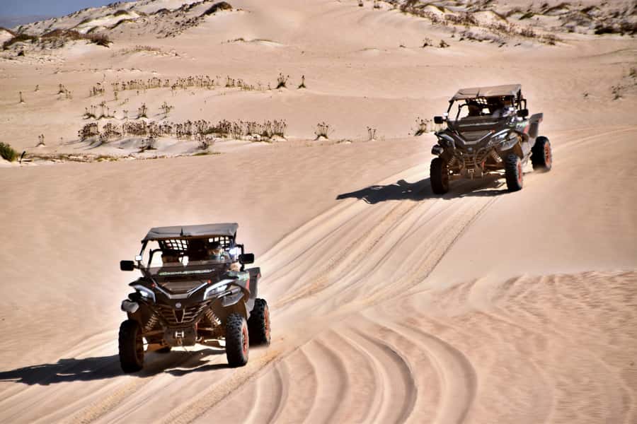Boa Vista Buggy Tour: Santa Monica & South Desert (4-Hour) - Morro de Areia and the Road Toward Verandinha