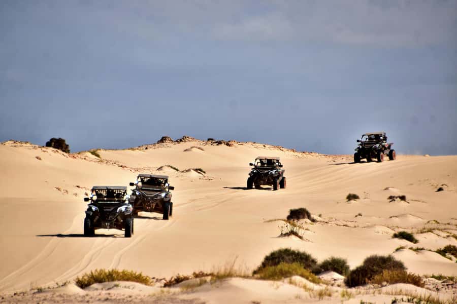 Boa Vista Buggy Tour: Santa Monica & South Desert (4-Hour) - Santa Monica Beach, Boa Vista’s Big Coastal Moment