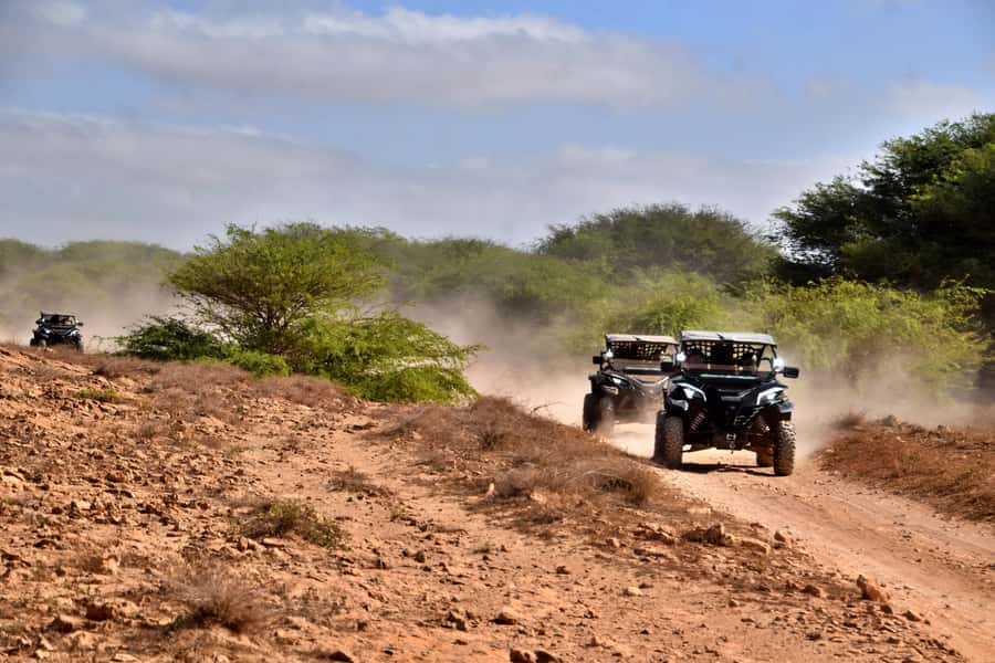 Boa Vista Buggy Tour: Santa Monica & South Desert (4-Hour) - Boca Beach Refreshment Stop