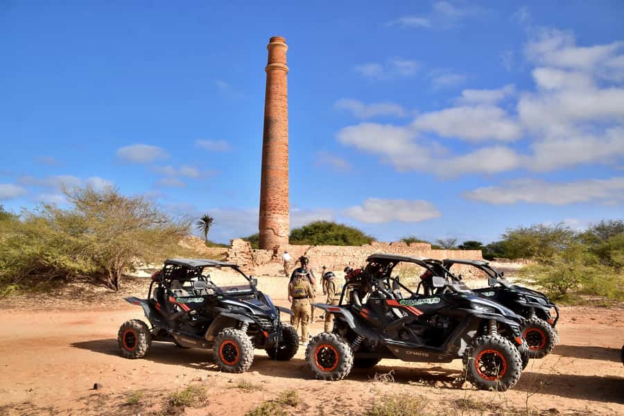 Boa Vista Buggy Tour: Santa Monica & South Desert (4-Hour) - What the Driving Is Really Like