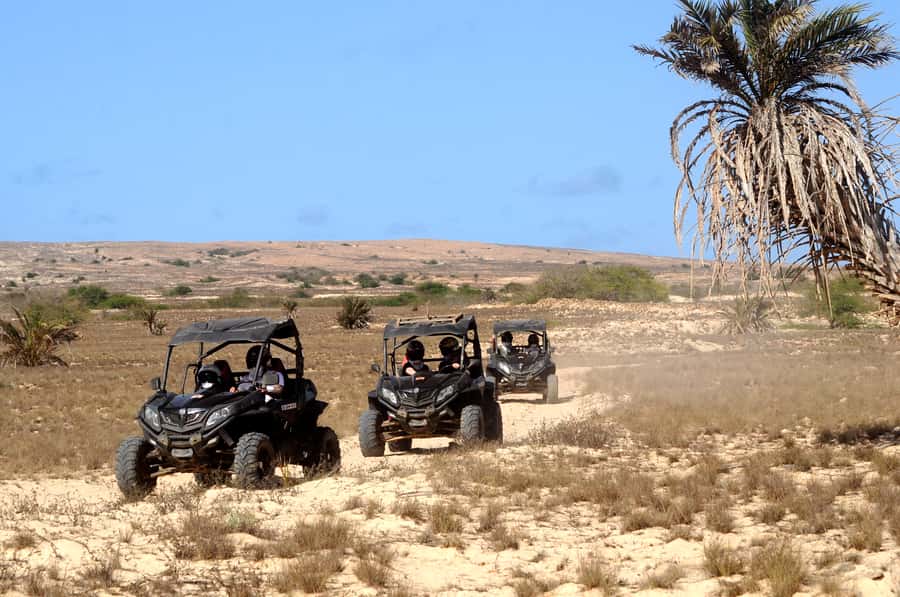Boa Vista Island: Dunes, Desert &Sal Rei 4WD Buggy Adventure - Who Will Enjoy This Most?