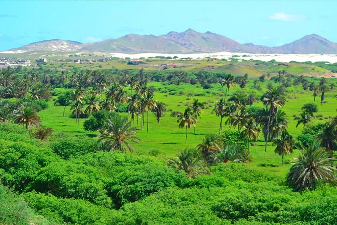 Boa Vista Island: Full-Day Wild Beaches & Viana Desert Experience - Fundo das Figueiras and a taste of rural Boa Vista