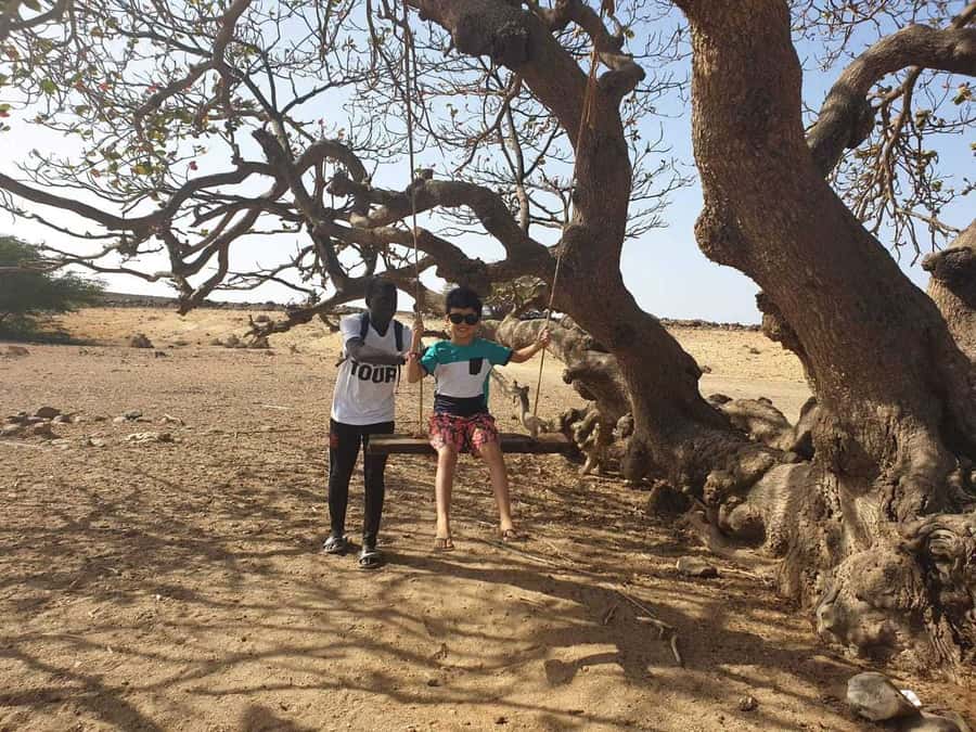 Boa Vista Island: Full-Day Wild Beaches & Viana Desert Tour - Why this seven-hour route works so well