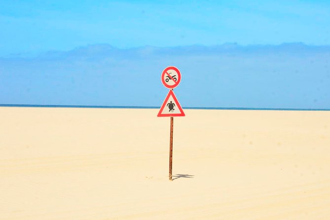 Boa Vista Island: Half-day Northern Tour + Viana Desert Adventure - Is $63.90 good value?