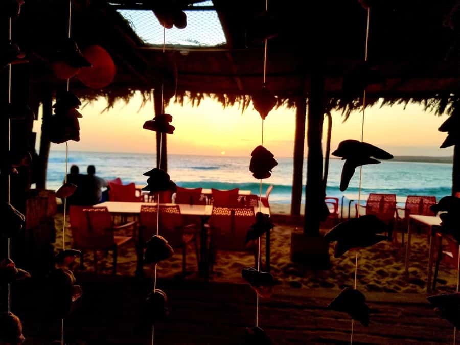 Boa Vista: Lobster Lunch at Santa Monica Beach - A seafood lunch with a real local setting