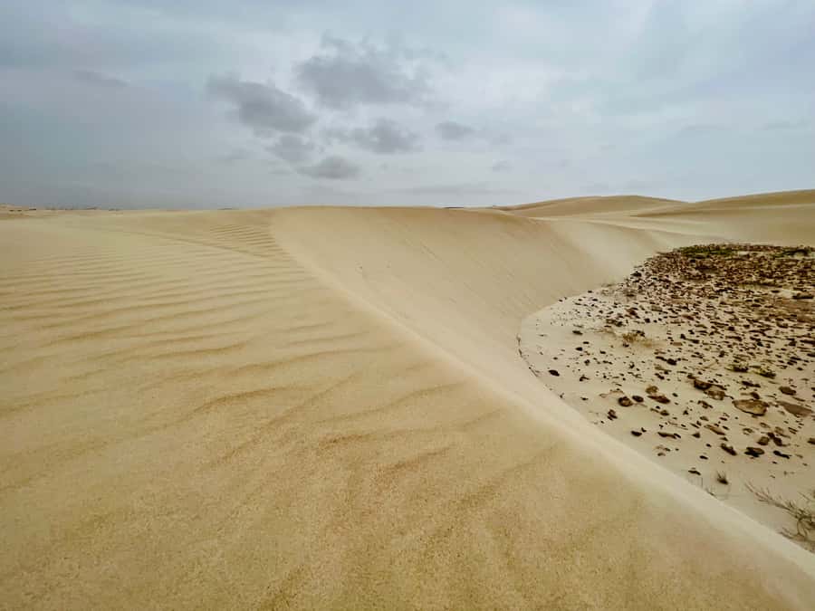 Boa Vista Mystical Wonders: Santa Monica Beach and Caves - Rabil gives the morning a local start