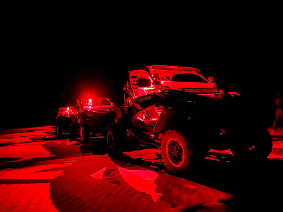 Boa Vista: Night Buggy Tour under the Stars (2-Hour) - Key Points To Know Before You Book