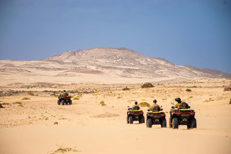 Boa Vista Quad Tour: Santa Monica & South Desert (4-Hour) - The price and what is covered