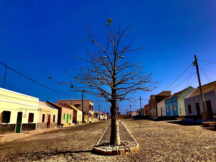 Boa Vista: Santa Monica, Dunes, Caves and Village 4x4 Tour - Timing, pickup, and what to bring