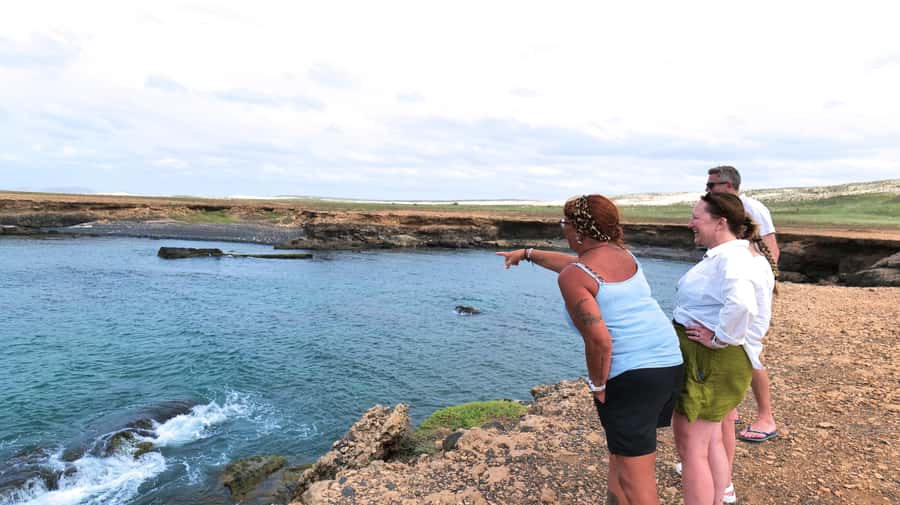 Boa Vista: Shark, Turtles, Cave, Sandboarding & Tasting Tour - What to bring and who will enjoy it most