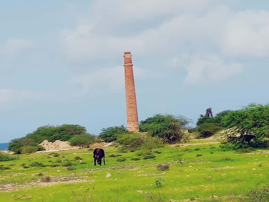 Boa Vista: Shipwreck, 4x4 Ride & Caves Day Tour with Lunch - What to Bring for Boa Vista’s Sun and Sand