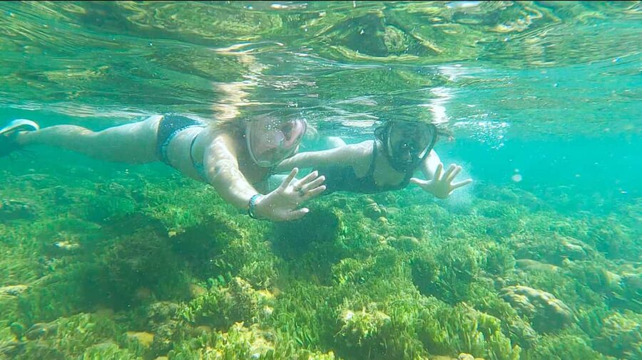 Boa Vista: Snorkeling at Gatas Bay & North East Tour - Key points to know before booking