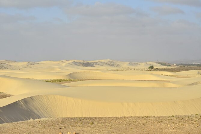 Boa Vista Tour: Santa Mónica, Desert & Shipwreck - Varandinha Beach and its sea-cut caves