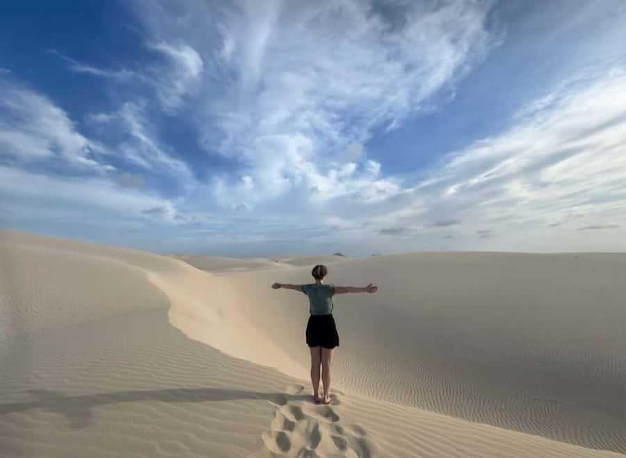 Boa Vista: Turtles, Sharks, City of Sal Rei, Santa Monica Beach, Shipwreck ... - Turtle Bay offers one of Boa Vista’s best wildlife moments