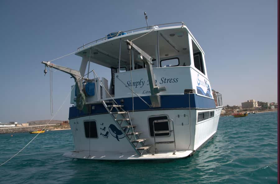 Boa Vista: Whale Watching Trip with Motoryacht - What the sea conditions mean for comfort
