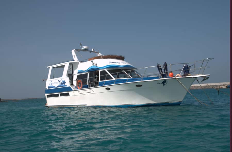 Boa Vista: Whale Watching Trip with Motoryacht - Is $94 per person good value?