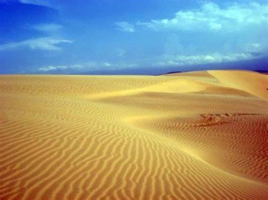 Boavista: 4h Shipwreck, Desert, Fatima Chapel & Pottery Tour - Why this four-hour route works