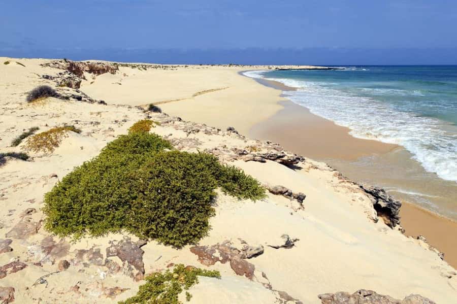 Boavista: 4h Shipwreck, Desert, Fatima Chapel & Pottery Tour - Viana Desert and the pull of Sahara sand