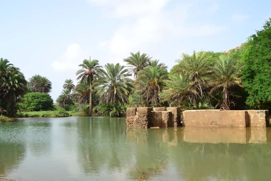 Boavista: Rabil, Shipwreck, City, Snacks & Drinks - 4x4 Tour - The 4x4 ride: useful, fun, and bumpy