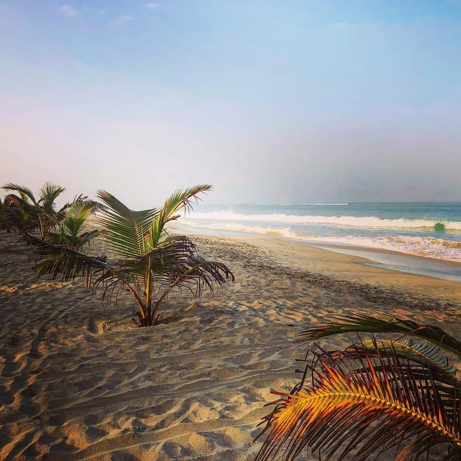 Boavista: Santa Monica beach, Varandinha cave, Sand dunes - Who will enjoy this tour most?