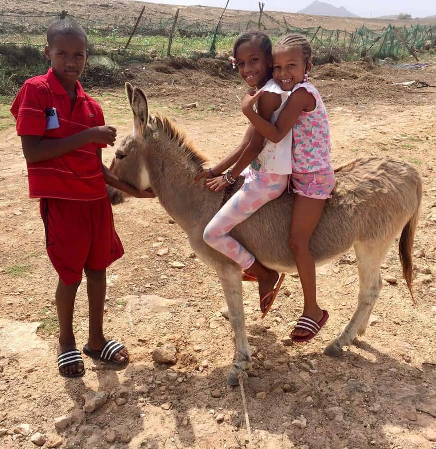 Boavista: Traditional & Local Experience Tour - Why this Boa Vista tour is different from a beach outing