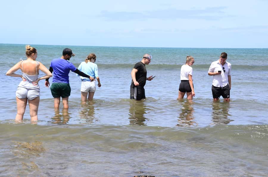 Boavista: Turtle, Shark, Santa Monica, Sandboard & Tasting - Guides who shape the experience