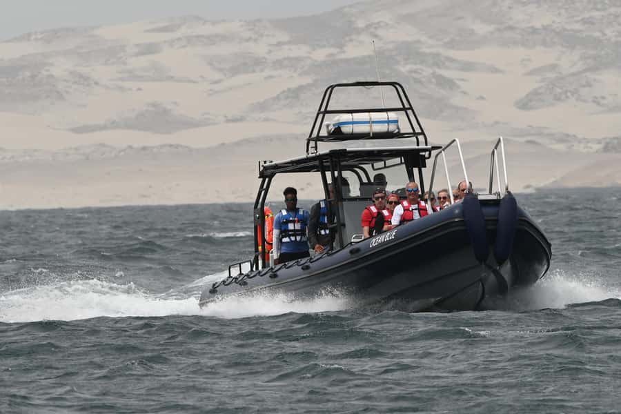 Boavista: Whale Watching half day trip - Is $76 a fair price?